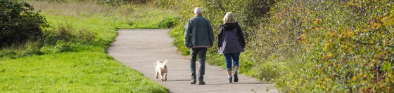 A couple walk their dog in a park